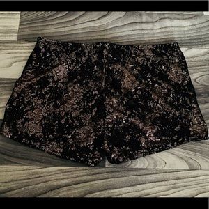LoveCulture Shorts